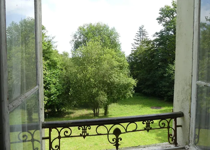 Chateau Le Vieil Etang